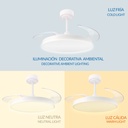 Ventilador de Techo Led Coal ø108 Cm. Mod. LM8828