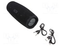 ALTAVOZ AUTOAMPLIFICADO IBIZA SOUND BT12A 450W USB/SD/BLUETOOTH 12"