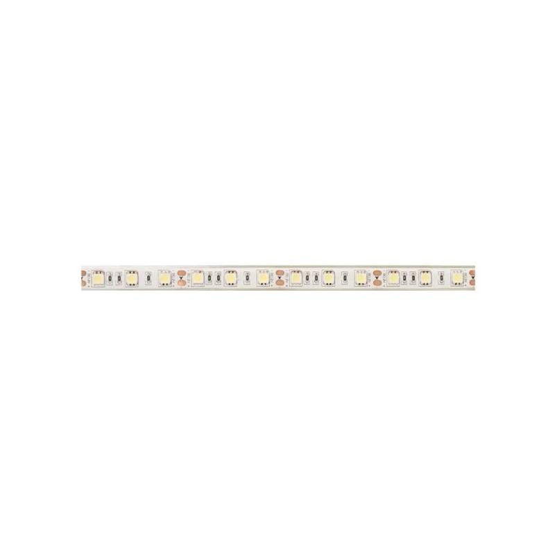 [5050F24VIP65] Tira de led 24 V 5 metros SMD 5050 60 led/m Blanco Frío IP65. Mod. 5050F24VIP65