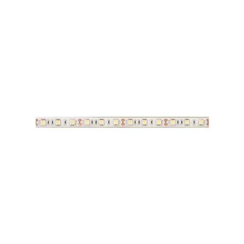 [LM2005] Tira de led 12 V 5 metros SMD 5050 60 led/m Blanco cálido IP65. Mod. 5050C12VIP65