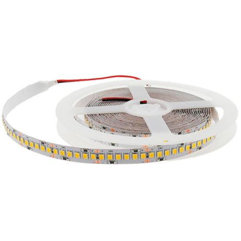 Tira led 24V DC SMD 2835 IP20 6000. Mod. 2430