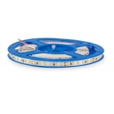 Tira de LED 24V DC SMD2835 Ziddna IP20 120 Led/m – 5 Metros 3000K. Mod. LM2137