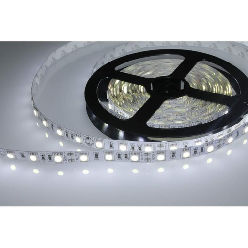 [5050F5MIP65] Tira de led flexible de 5 metros SMD 5050 60 led/m 6000 K IP65. Mod. PL219010W