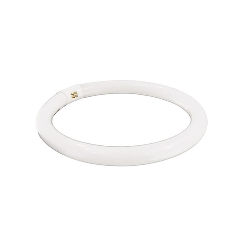 [MI6022] TUBO FLUORESCENTE CIRCULAR 22W. MOD. MI-6022