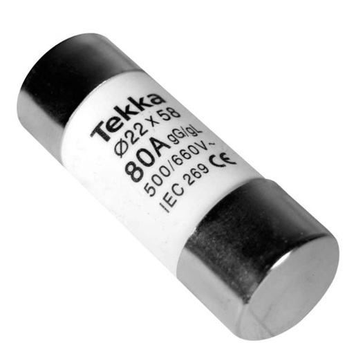 [TE4033ELD] FUSIBLE CERÁMICO CILÍNDRICO 22X58 MM T-2 80 A. MOD. TE-4033